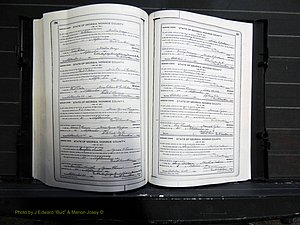 Monroe Co, GA, Marriages, Book I, 1917-1922 pg 296-297.JPG