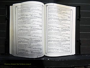 Monroe Co, GA, Marriages, Book I, 1917-1922 pg 298-299.JPG