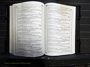Monroe Co, GA, Marriages, Book I, 1917-1922 pg 302-303.JPG