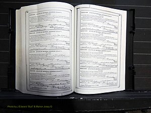 Monroe Co, GA, Marriages, Book I, 1917-1922 pg 312-313.JPG
