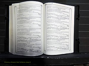 Monroe Co, GA, Marriages, Book I, 1917-1922 pg 314-315.JPG