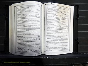 Monroe Co, GA, Marriages, Book I, 1917-1922 pg 316-317.JPG