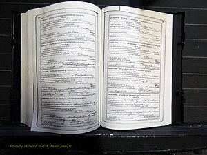 Monroe Co, GA, Marriages, Book I, 1917-1922 pg 320-321.JPG