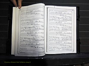 Monroe Co, GA, Marriages, Book I2, 1922-1929 pg 380-381.JPG