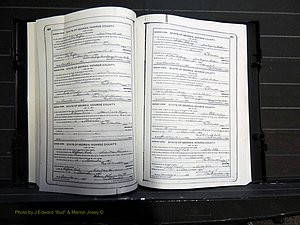 Monroe Co, GA, Marriages, Book I2, 1922-1929 pg 460-461.JPG