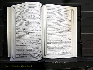 Monroe Co, GA, Marriages, Book I2, 1922-1929 pg 540-541.JPG