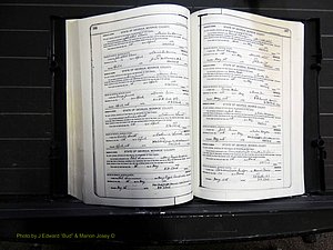 Monroe Co, GA, Marriages, Book J, 1929-1938 pg 166-167.JPG