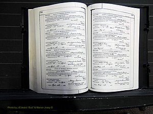 Monroe Co, GA, Marriages, Book J, 1929-1938 pg 254-255.JPG