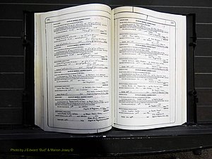 Monroe Co, GA, Marriages, Book K, 1952-1975 pg 132-133.JPG