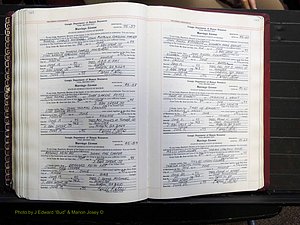 Monroe Co, GA, Marriages, Book M, 1985-1996 pg 462-463.JPG