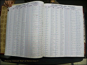 Montgomery Marriages + Female Index, 1868-2010 016.JPG