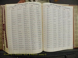 Nash Marriages, Male & Female Index, 1901-1937 (400).JPG