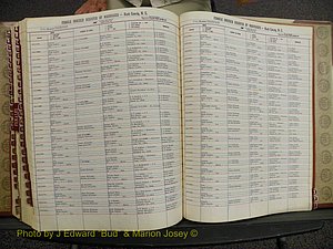 Nash Marriages, Male & Female Index, 1901-1937 (401).JPG