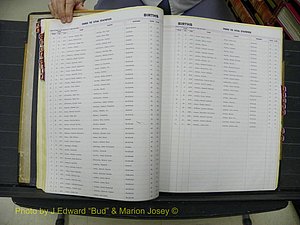 Northampton Births (708).JPG