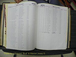 Northampton Births (730).JPG