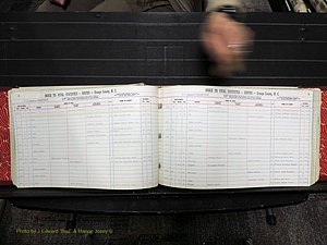 Orange Co, NC, Births, N-R, 1913-1978 (132).JPG