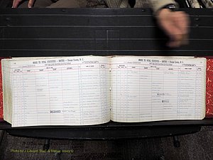 Orange Co, NC, Births, N-R, 1913-1978 (302).JPG