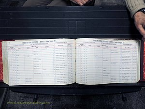 Orange Co, NC, Births, S, 1913-1978 (507).JPG