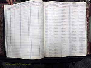 Orange Co, NC, Marriages, Female, A-L, 1911-1964 (128).JPG