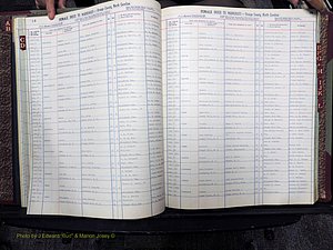 Orange Co, NC, Marriages, Female, A-L, 1911-1964 (146).JPG