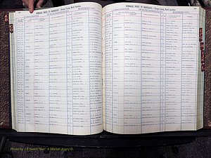 Orange Co, NC, Marriages, Female, A-L, 1911-1964 (159).JPG
