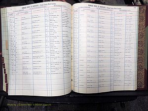 Orange Co, NC, Marriages, Female, A-L, 1911-1964 (479).JPG