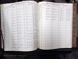 Orange Co, NC, Marriages, Female, A-L, 1911-1964 (482).JPG