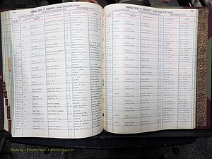 Orange Co, NC, Marriages, Female, A-L, 1911-1964 (490).JPG