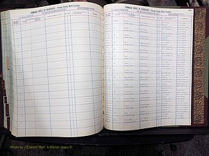 Orange Co, NC, Marriages, Female, A-L, 1911-1964 (527).JPG