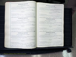Peach Co, GA, Marriages, Book A, 1926-1960 pg 226-227.JPG