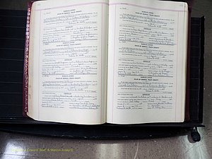 Peach Co, GA, Marriages, Book E, 1960-1984 pg 102-103.JPG