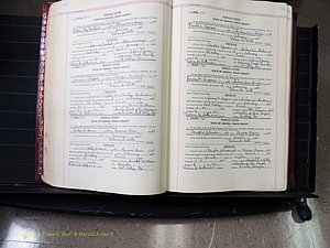 Peach Co, GA, Marriages, Book E, 1960-1984 pg 120-121.JPG