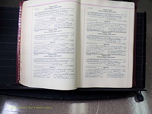 Peach Co, GA, Marriages, Book E, 1960-1984 pg 132-133.JPG