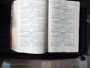 Peach Co, GA, Marriages, Book E, 1960-1984 pg 194-195.JPG