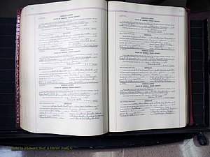 Peach Co, GA, Marriages, Book E, 1960-1984 pg 272-273.JPG