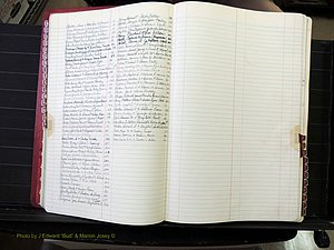 Peach Co, GA, Marriages, Book F, 1980-1995 Index P.JPG
