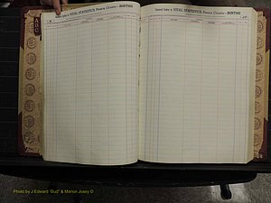 Person Co, NC, Births, A-C, 1913-2012 (132).JPG