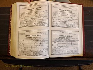 Richmond Marriages, 3W, 1980-1981 P 482-483.JPG