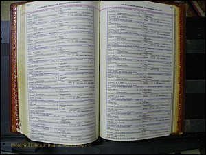 Richmond Marriages, 1870-1937 206.JPG