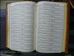 Richmond Marriages, 1870-1937 232.JPG
