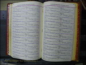 Richmond Marriages, 1870-1937 239.JPG