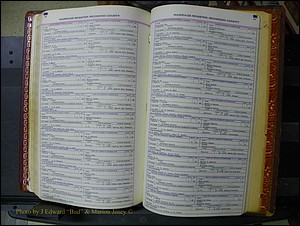 Richmond Marriages, 1870-1937 246.JPG