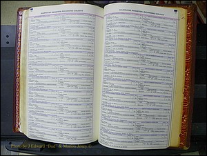 Richmond Marriages, 1870-1937 250.JPG