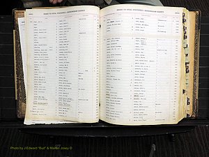 Rockingham Co, NC, Births, 1913-1928 (105).JPG