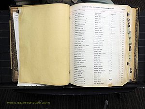 Rockingham Co, NC, Births, 1913-1928 (110).JPG