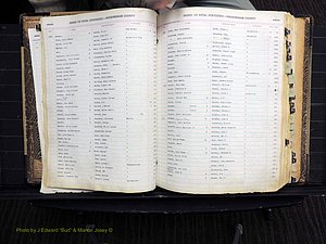 Rockingham Co, NC, Births, 1913-1928 (123).JPG