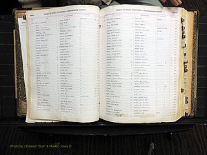 Rockingham Co, NC, Births, 1913-1928 (124).JPG