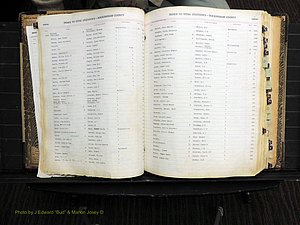 Rockingham Co, NC, Births, 1913-1928 (128).JPG