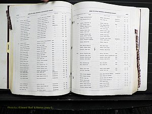 Rockingham Co, NC, Births, 1968-1981 (167).JPG