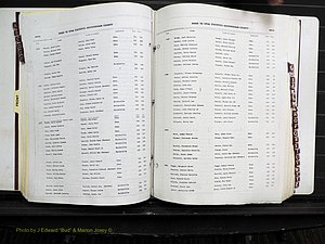 Rockingham Co, NC, Births, 1968-1981 (170).JPG